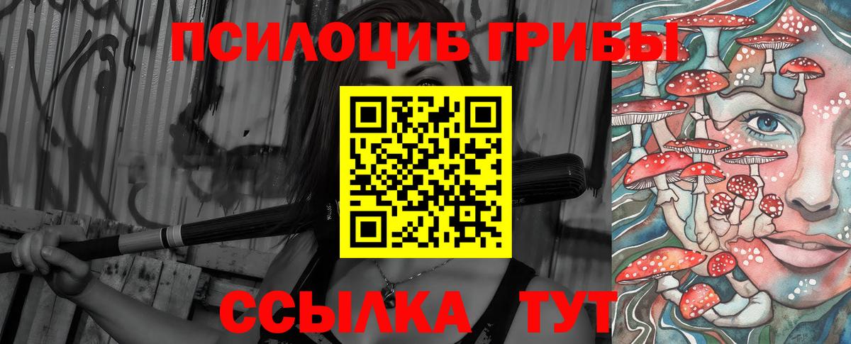 Нарьян-Мар  Галлюциногенные грибы Magic Shrooms  купить наркотик  Галлюциногенные грибы прущие грибы  Вход с VPN 